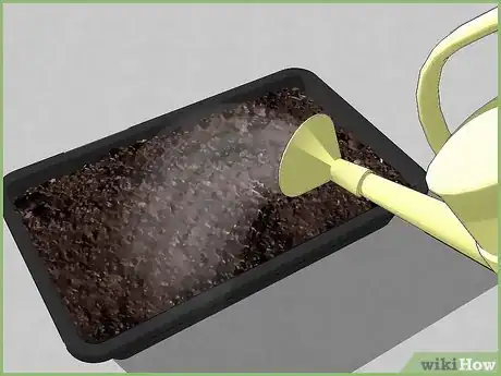 Image intitulée Plant a Seed Step 6