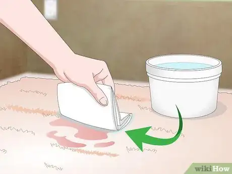 Image intitulée Get Hair Dye Out of a Carpet Step 7