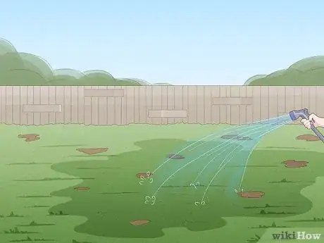 Image intitulée Get Rid of Nutgrass Step 11