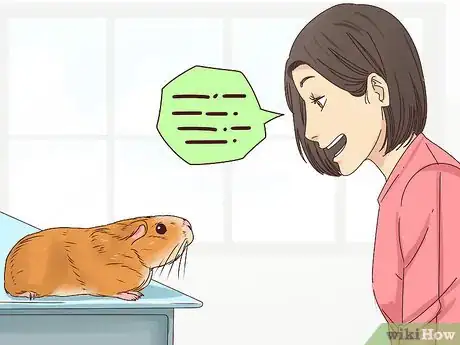 Image intitulée Tame Your Guinea Pig Step 6