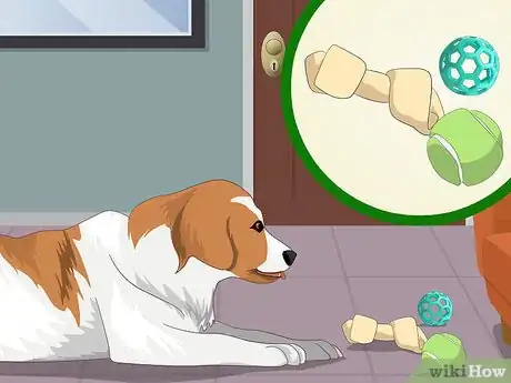 Image intitulée Help a Dog with Separation Anxiety Step 8