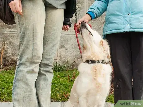 Image intitulée Teach Your Dog Tricks Step 19