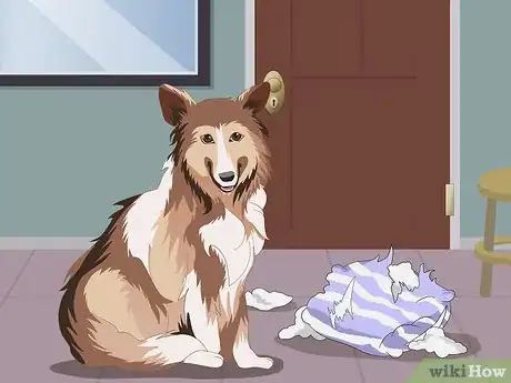 Image intitulée Help a Dog with Separation Anxiety Step 1
