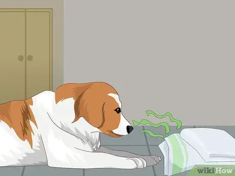 Image intitulée Help a Dog with Separation Anxiety Step 4