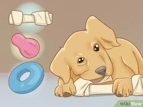 Image intitulée Stop a Puppy from Barking Step 4