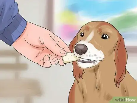 Image intitulée Stop Howling Dogs Step 2