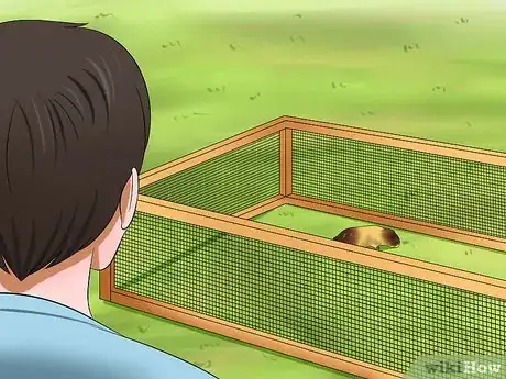 Image intitulée Play with a Guinea Pig Step 6