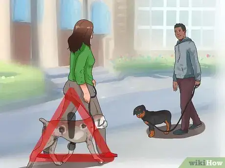 Image intitulée Cure Mange in Dogs Step 10