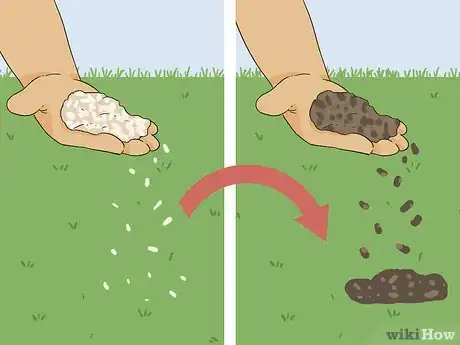 Image intitulée Bring Back Dead Grass Step 15