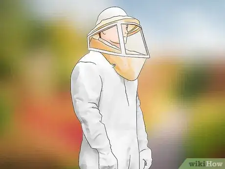 Image intitulée Get Rid of Bees Step 12
