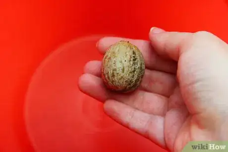 Image intitulée Hull Walnuts Step 3