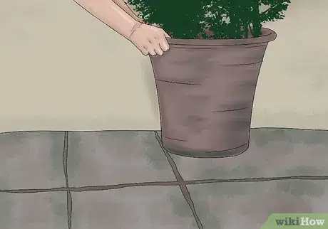 Image intitulée Clean Pavers Step 1