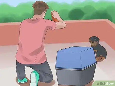 Image intitulée Care for a Rottweiler Puppy Step 9