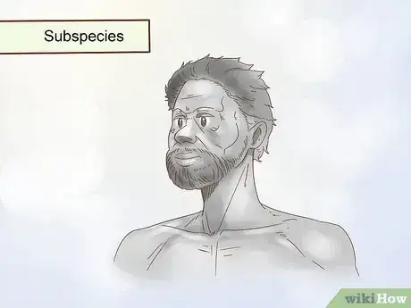 Image intitulée Classify Animals Step 12