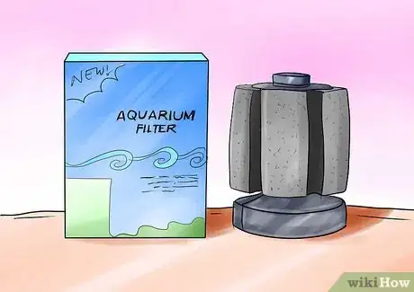 Image intitulée Take Care of Ghost Shrimp Step 2