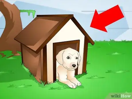 Image intitulée Make a Puppy Stop Digging Step 2