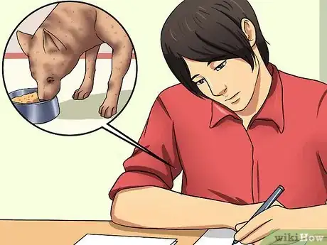 Image intitulée Help Your Dog Lose Weight Step 9