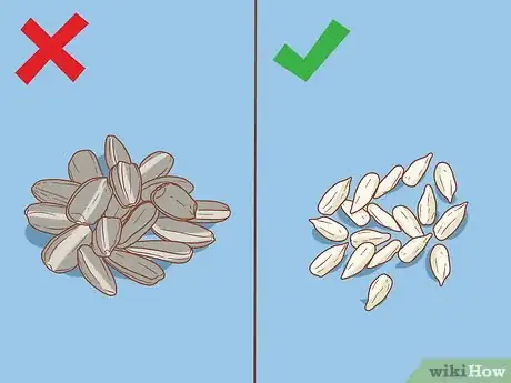 Image intitulée Care for Syrian Hamsters Step 12