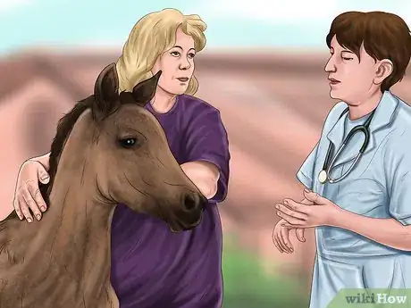 Image intitulée Tell the Gender of a Mare's Unborn Foal Step 2