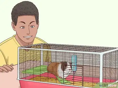 Image intitulée Tame Your Guinea Pig Step 3