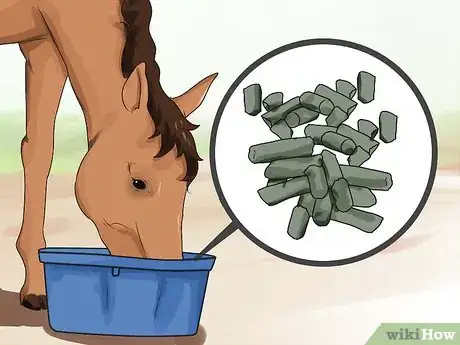 Image intitulée Deworm a Horse Step 10