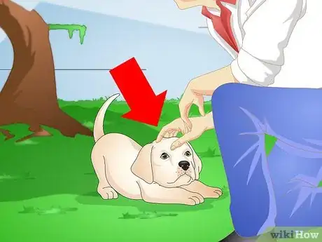 Image intitulée Make a Puppy Stop Digging Step 3