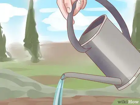 Image intitulée Grow Chives Step 10