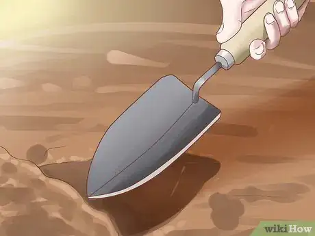 Image intitulée Grow Chives Step 11
