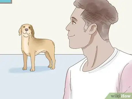 Image intitulée Reduce Anxiety in Dogs Step 2