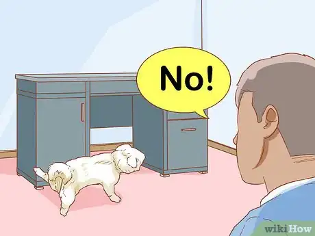 Image intitulée Stop a Dog from Urinating Inside After Going Outside Step 8