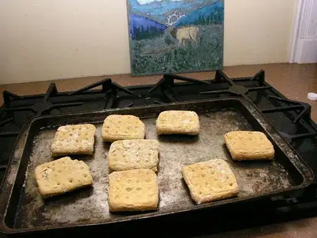 Image intitulée Flip Hardtack.JPG