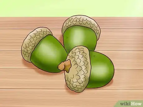 Image intitulée Use Acorns for Food Step 1