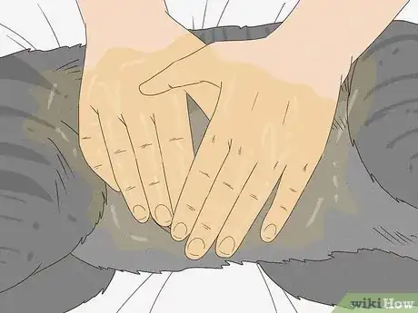 Image intitulée Get Mousetrap Glue Off a Cat Step 3