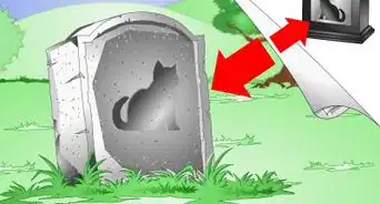 réconforter un chat mourant
