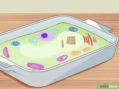 Image intitulée Build 3D Models of Animal and Plant Cells Step 8