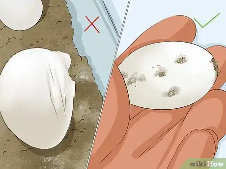 Image intitulée Breed Turtles Step 13