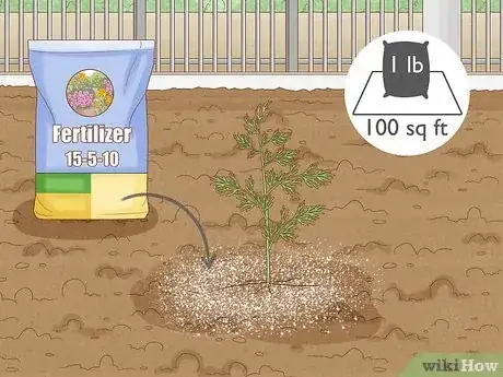 Image intitulée Grow Dill Step 9