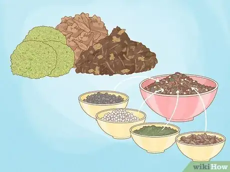 Image intitulée Grow Orchids Step 2
