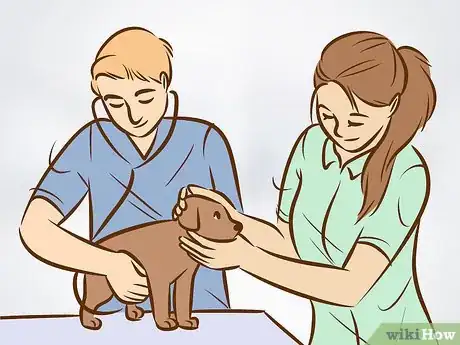 Image intitulée Recognize and Treat Salivary Mucocele in Dogs Step 9