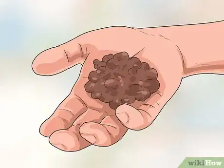 Image intitulée Train an Adult Dog Step 1