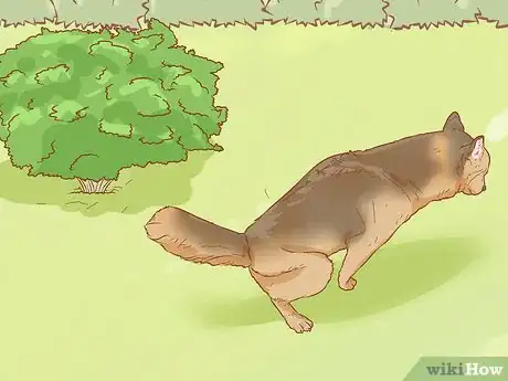 Image intitulée Stop a Dog from Urinating Inside After Going Outside Step 2