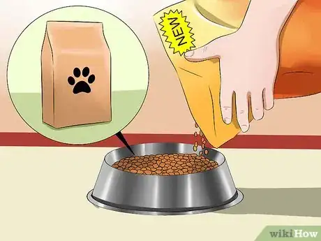 Image intitulée Get Your Dog to Eat Dry Food Step 6