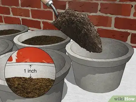 Image intitulée Plant Clones Step 6