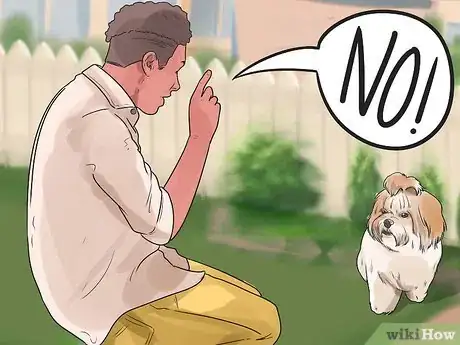 Image intitulée Potty Train a Shih Tzu Step 9