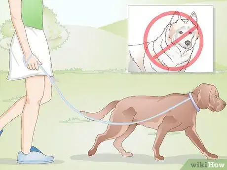 Image intitulée Care for Your Dog After Being Neutered Step 6