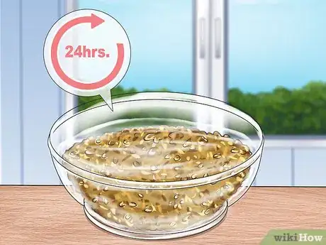 Image intitulée Make a Hair Mask With Fenugreek Seeds Step 9