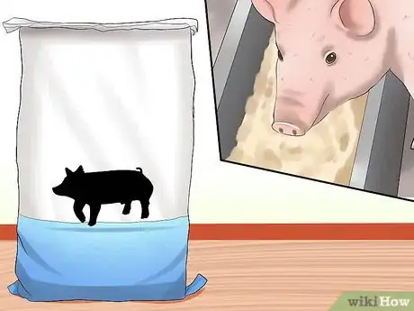 Image intitulée Increase the Weight of a Pig Step 6