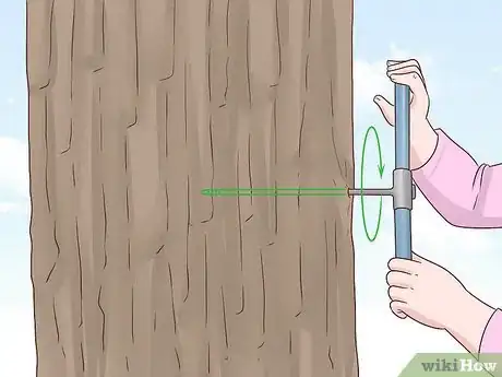 Image intitulée Determine the Age of a Tree Step 17