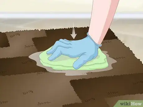 Image intitulée Get Dog Urine Smell out of Carpets Step 11