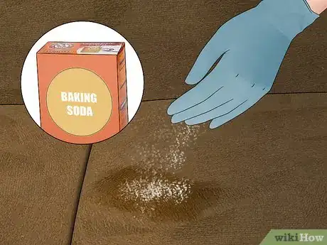 Image intitulée Clean Pee Off a Couch Step 4